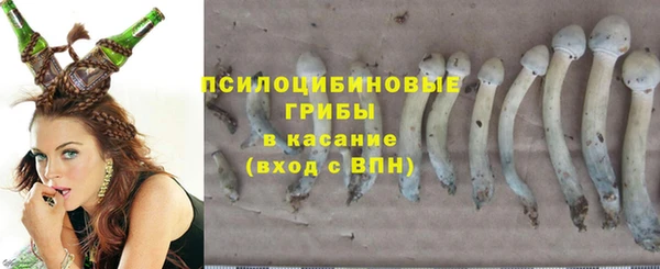 дживик Заволжск