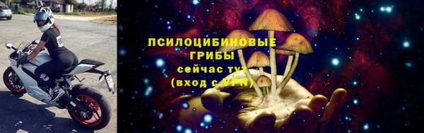 дживик Заволжск