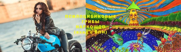 винт Заводоуковск